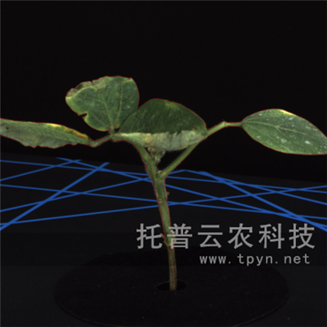 ͨ澳ģMֲL(zhng)O(jin)y(c)ƽ_(ti)
