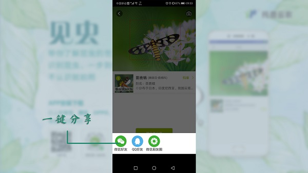 ҊxAPP