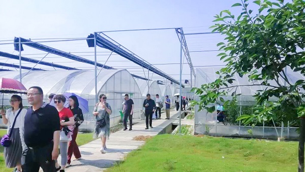 托普云農(nóng)助力青海省農(nóng)機信息化，海西州農(nóng)機中心來杭培訓