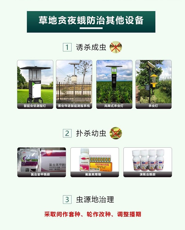 高空測報(bào)燈上線，草地貪夜蛾無所遁形