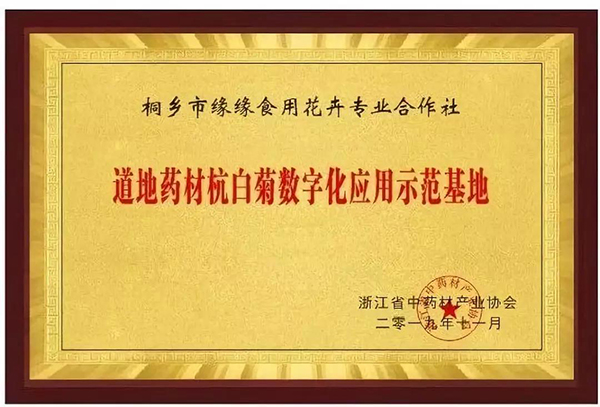 道地藥材數(shù)字化應(yīng)用發(fā)布，杭白菊產(chǎn)業(yè)迎來(lái)數(shù)字化變革