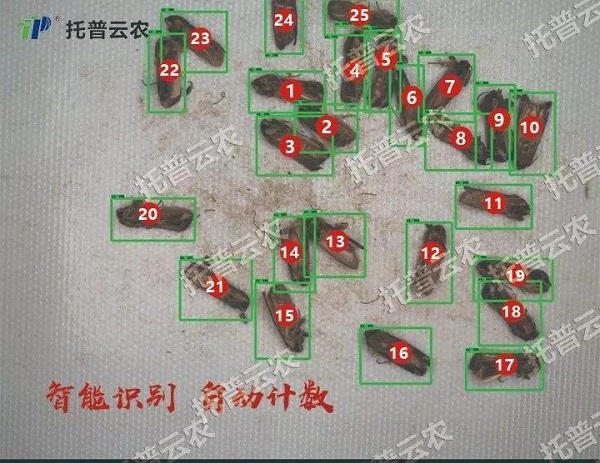 “蟲臉識別”開啟人工智能產(chǎn)業(yè)應(yīng)用新篇章
