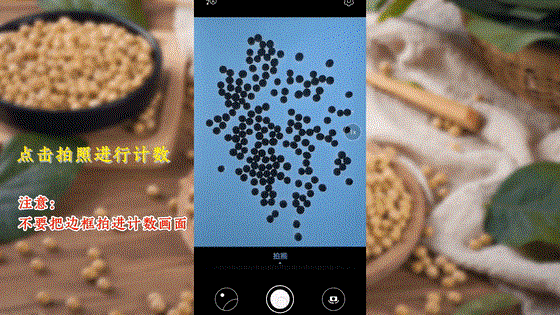 “蟲臉識別”開啟人工智能產(chǎn)業(yè)應(yīng)用新篇章