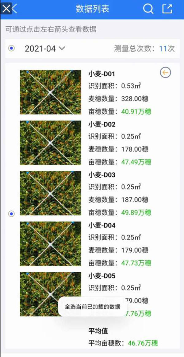 小麥畝穗數(shù)測量系統(tǒng)手機界面圖2
