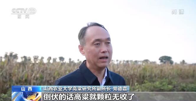 山西農(nóng)業(yè)大學高粱研究所副所長 黨德宣
